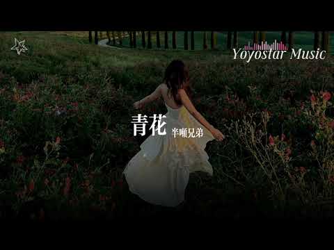 青花 - 半吨兄弟 | 原唱 - 周传雄 | 好歌好曲每一天 | 动态歌词/Lyrics