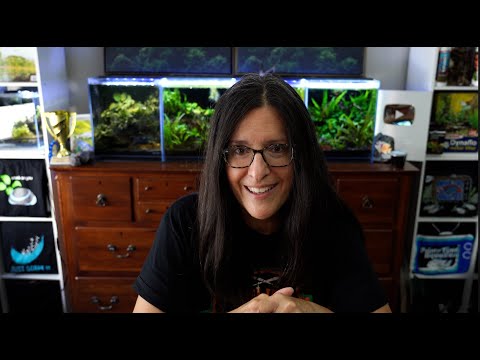 This Week In Fishkeeping | Never Say Never