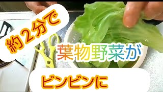 【驚愕‼️約２分でレタスがビンビンに‼️】葉物野菜が短時間でシャキシャキに❗️😲😲😲