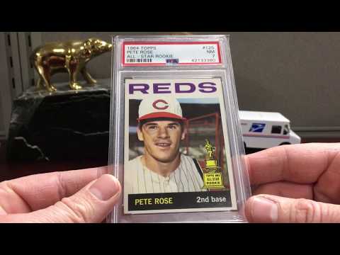 Saturday Night Mailbin w/ Only Slabbed Cards