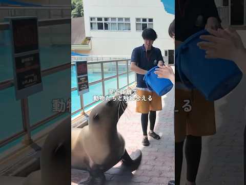 【ユニークすぎる】高知の桂浜水族館が最高だった！！！