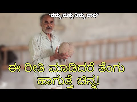 ಈ ರೀತಿ ಮಾಡಿದರೆ ತೆಂಗು ಹಾಗುತ್ತೆ ಚಿನ್ನ!  || selection of coconut 🥥 for plantation||