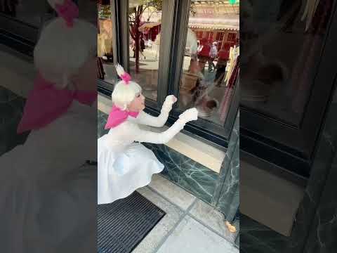 念願のマリーちゃん仮装🎀🐈　#ディズニー #ディズニーシー #dハロ