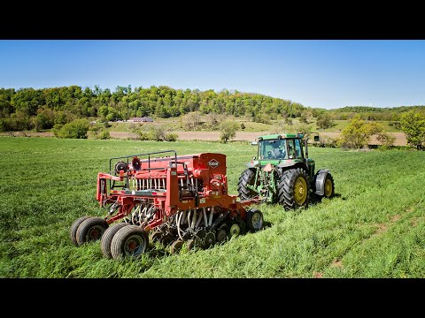 Seeding The Valley