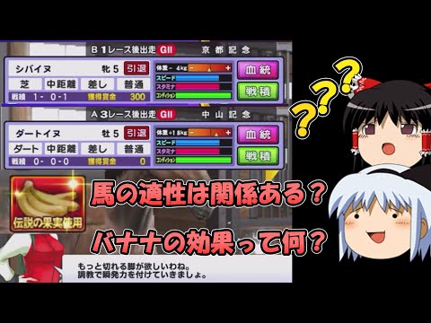 【メダルゲーム】G1クラシックの育成で気になることを調べてみた