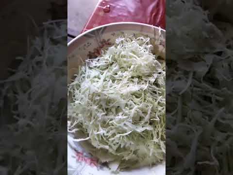 cabbage harvesting & cooking #shorts #cabbage #vegetables #cooking