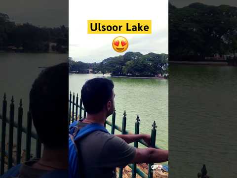 Ulsoor Lake Bengaluru 🏝️Serene Escape #bangalore #travel #shorts