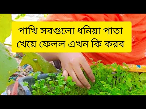 সর্বনাশ পাখি একি ক্ষতি করল 🤭🤭🤭#trending #longvideo #nishebd