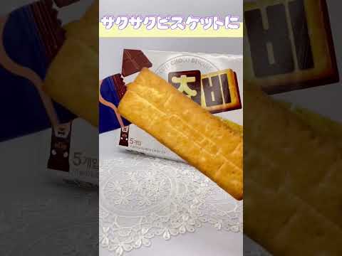 渡韓するならこれ買って！日本未上陸？お土産におすすめ！비스킷(ビチョビ)食べてみた［韓国お菓子］#shorts