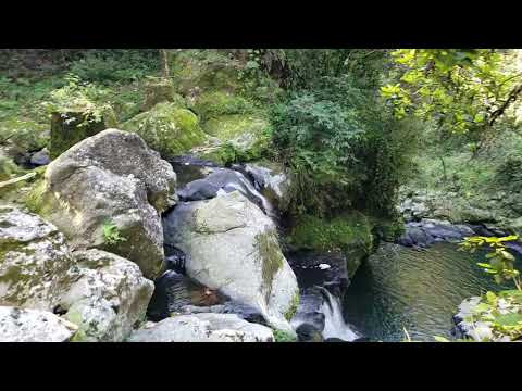 La Poza y El Salto de Los 5 Chorros en el Río Naolinco