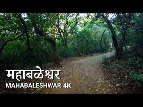 MAHABALESHWAR Nature Walk 🇮🇳 - Maharashtra, India Morning Ambience 4K (UHD)