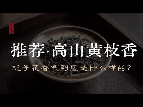 深藏功与名的一款单丛茶丨高山黄枝香