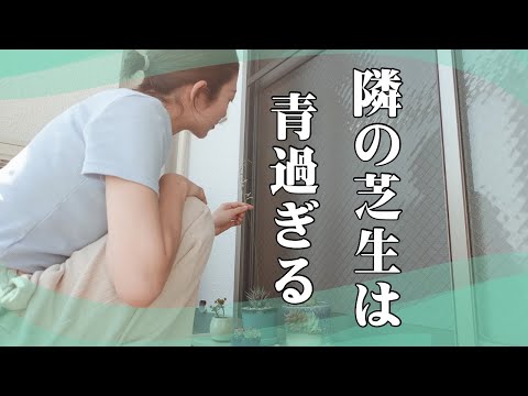 【ラジオ】なんでこんな人生なんだろう / 焦りと嫉妬