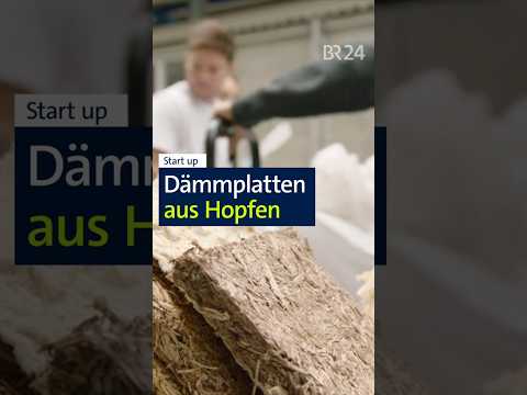 Hopfen Startup #shorts #hopfen #landwirtschaft