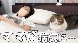 病気で倒れたママにつきっきりで看病する優しい猫がこちらです…涙