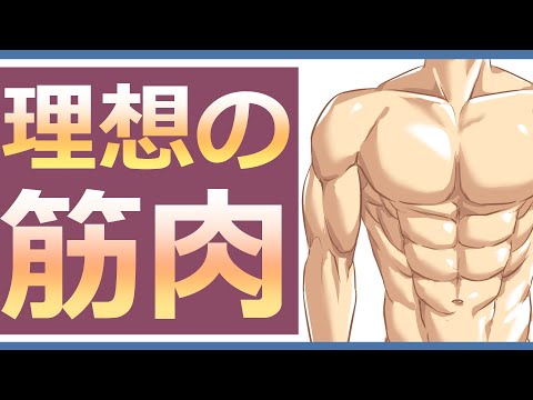 【イラスト講座】筋肉の描き方はとりあえずコレ！【イラレッジ】