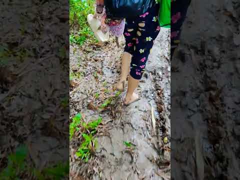 ASMR Muddy Walking;Living in the Philippines🇵🇭#lifeinthephilippines #asmr #asmrsounds #farmer #yt