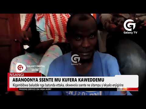 Abanoonya sente mu kufera kaweddemu | Daily Dose