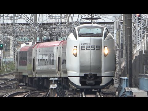 10/23/2024 Japan Railways: Narita Express E259 Series at Yokohama