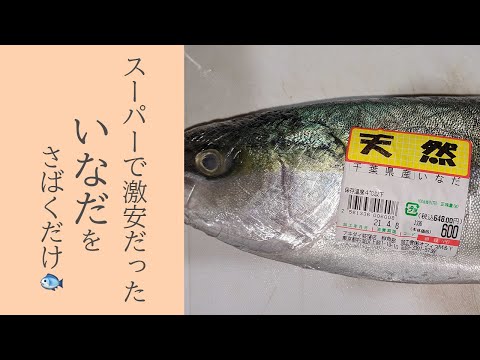 いなだをただただ捌くだけ🐟