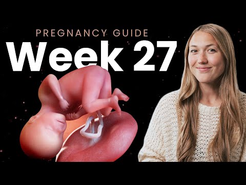 27 Weeks Pregnant | Week By Week Pregnancy