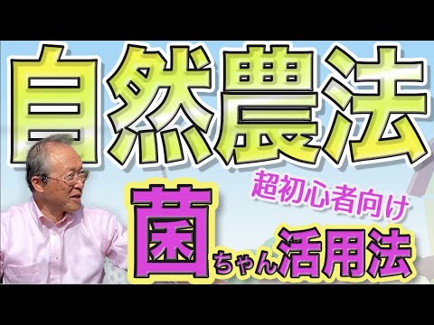 【自然農　菌ちゃん先生　畑作り】ゼロスタート最短2〜3ヶ月で植え付けできちゃう！埼玉朝霞実習会　ミネラルたっぷり有機野菜　無農薬野菜　栽培方法