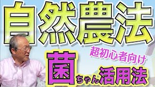 【自然農　菌ちゃん先生　畑作り】ゼロスタート最短2〜3ヶ月で植え付けできちゃう！埼玉朝霞実習会　ミネラルたっぷり有機野菜　無農薬野菜　栽培方法