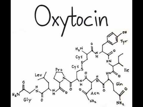 Oxytocin + Neuropeptide Y