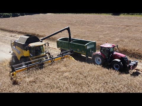 The first day of harvest for farmers in Rutland 2024