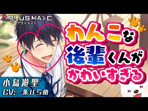 大型わんこな後輩がかわいすぎる件について【プラスメイト/小鳥遊聖編#1】