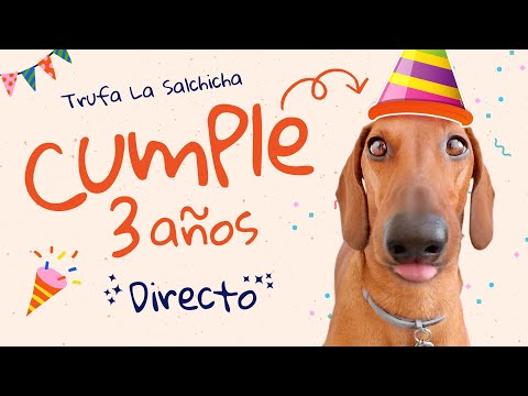 ¡CUMPLO 3 Años! Mi Fiesta en Directo con Mis Papás🎉