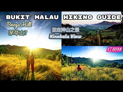 Bukit Malau Jitra Kedah Hiking Guide翻版 broga hill 吉打茅草山，紫色神山景色、云海村庄。红树林。四个山头全景色攻略路途