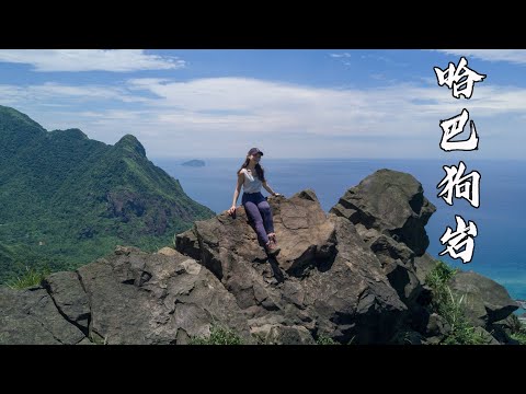 登山vlog｜東北角芒草秘境｜哈巴狗岩｜空拍視角｜芒花秘境