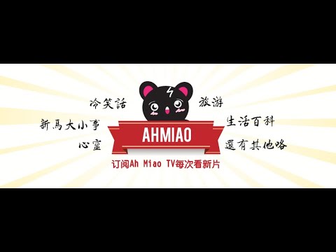 关于Ahmiao Tv - 我是一只不平凡的猫