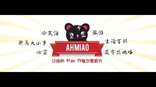 关于Ahmiao Tv - 我是一只不平凡的猫