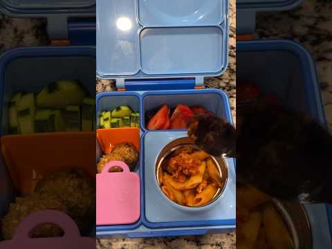 #schoollunch #lunchbox #lunchboxideas #packedlunch