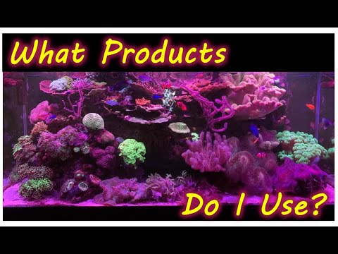 What Consumable Products Do I Use For My Reef Tank