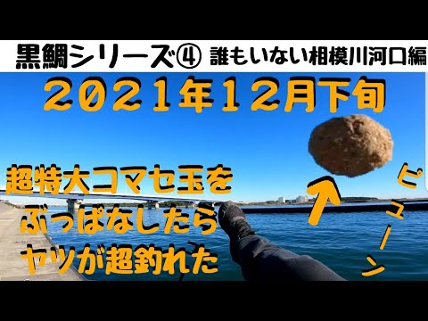 【黒鯛シリーズ④】チヌ狙いでフカセ釣り!!初心者でも安心して釣りが出来る相模川河口で今年最後の釣行♪平塚新港のすぐ近くよ♡