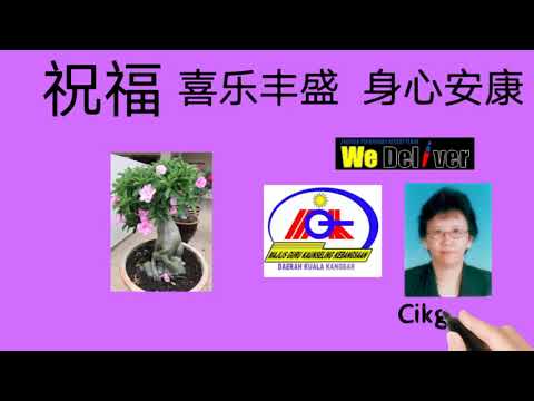 辅导咨询加油站.1Perkhidmatan Bimbingan dan Kaunseling