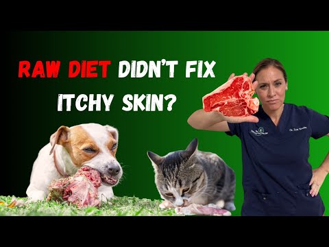 Why A Raw Food Diet Didn't Fix Your Pet's Itchy Skin - Holistic Vet Advice