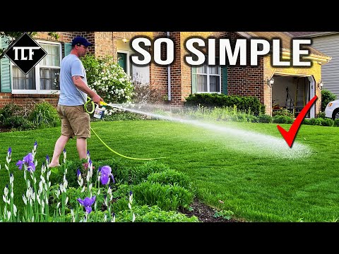 Green Grass In Summer Is EASY With These Tips!