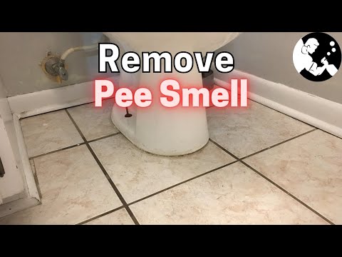 How To Remove Urine From Grout Around The Toilet!!