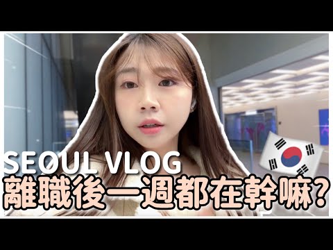 韓國生活 🇰🇷|韓國日常vlog |離職後都在幹嘛？申請退職金、跟廠商開會、網友相見歡😳直播帶貨？| 紹紹 Soy Daily