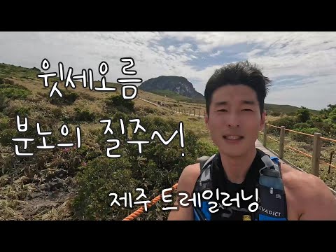 윗세오름부터 1100도로까지 달리기! / 제주 트레일러닝