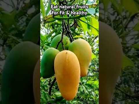 Eat natural fruits for fit & healthy#eatrawfruits#fruits#asmrfruits#healthyfruits#shorts