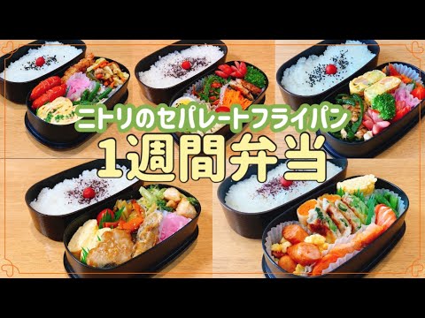 【1週間のお弁当作り】忙しい朝はニトリのセパレートフライパン！！！