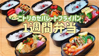 【1週間のお弁当作り】忙しい朝はニトリのセパレートフライパン！！！