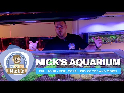 Nicks Aquarium Brisbane - Full Tour!