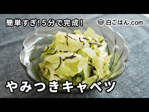 包丁いらずで簡単！やみつきキャベツの作り方