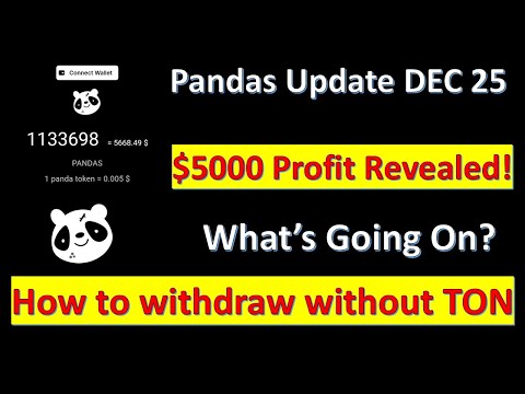 Pandas Update DEC 25: $5000 Profit Revealed! What’s Going On? How to withdraw?